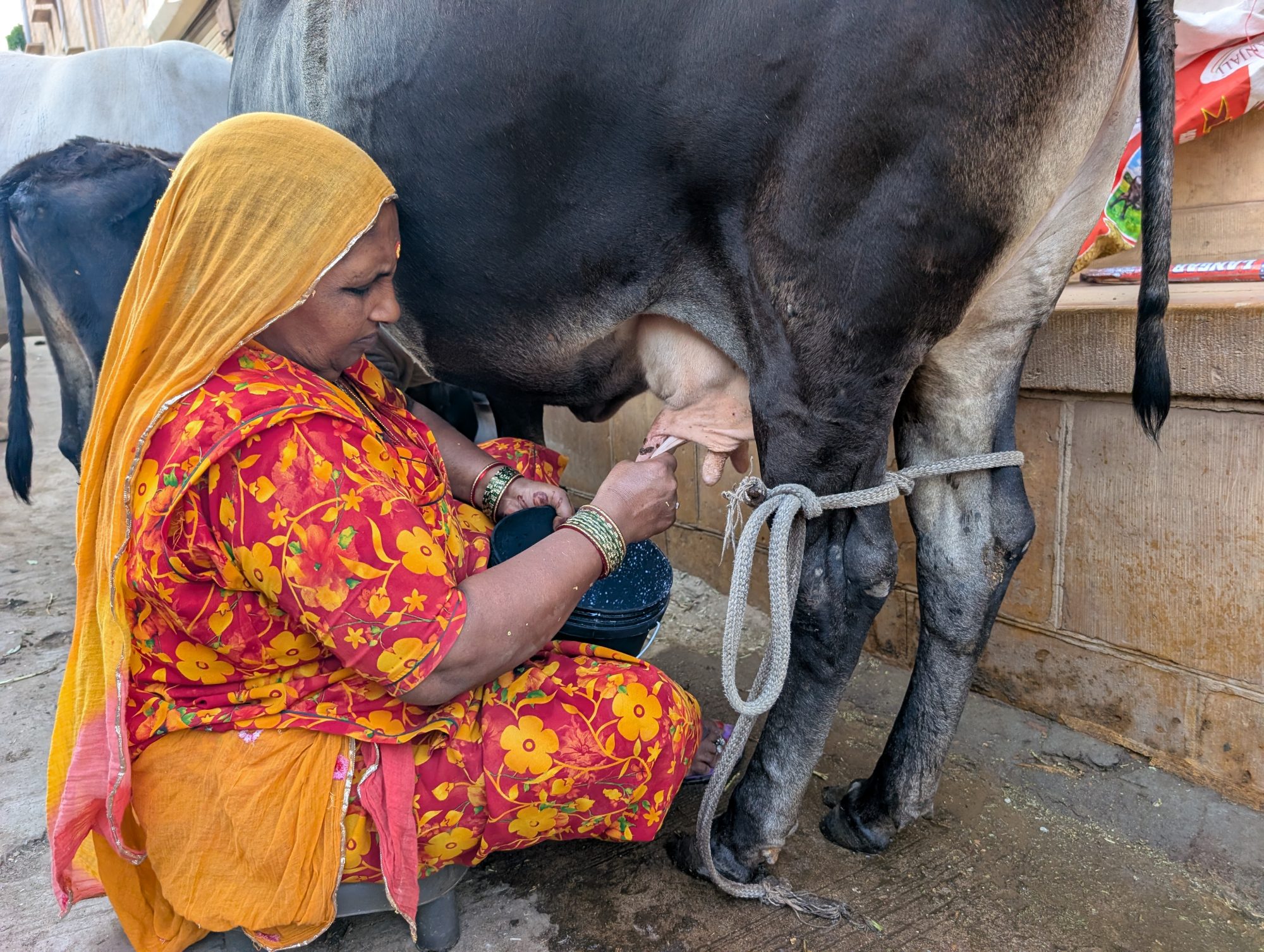 India